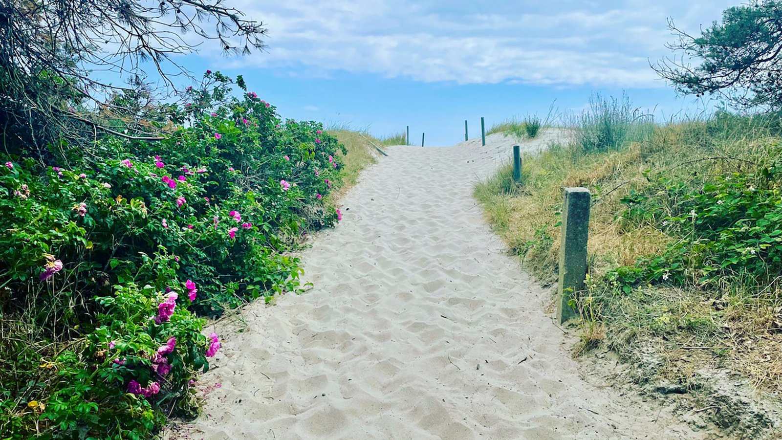 Weg zum Strand durch die Dünen